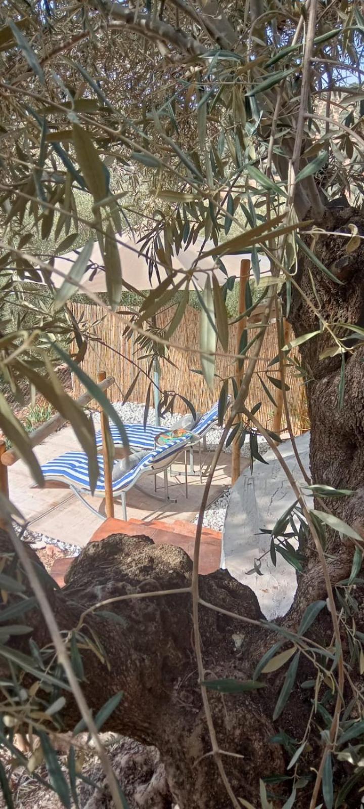 La Estrellita Apartment Iznajar Bagian luar foto